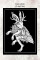 Patch Jackalope 10x13,5cm (3.9x5.3in) #1